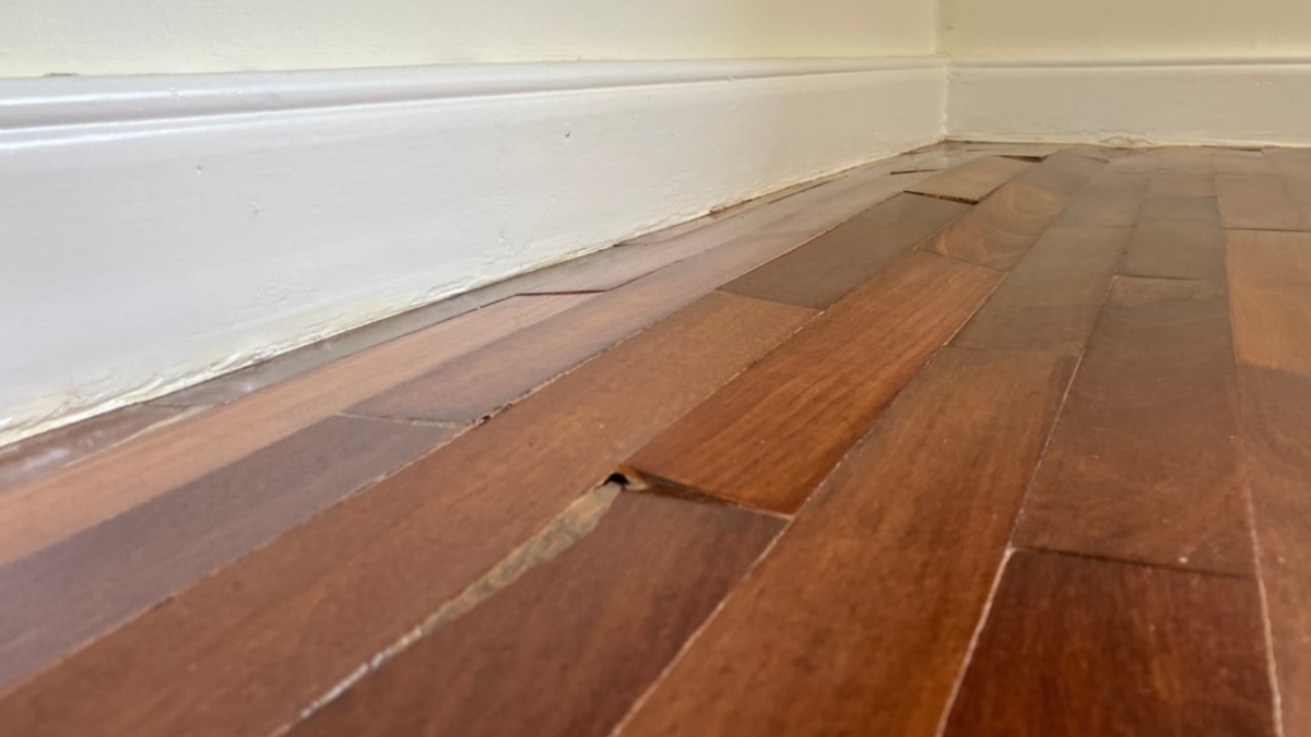 Nolts-Water-Damaged-Hardwood