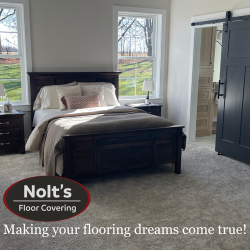 Plush carpet in Ephrata Myerstown, PA