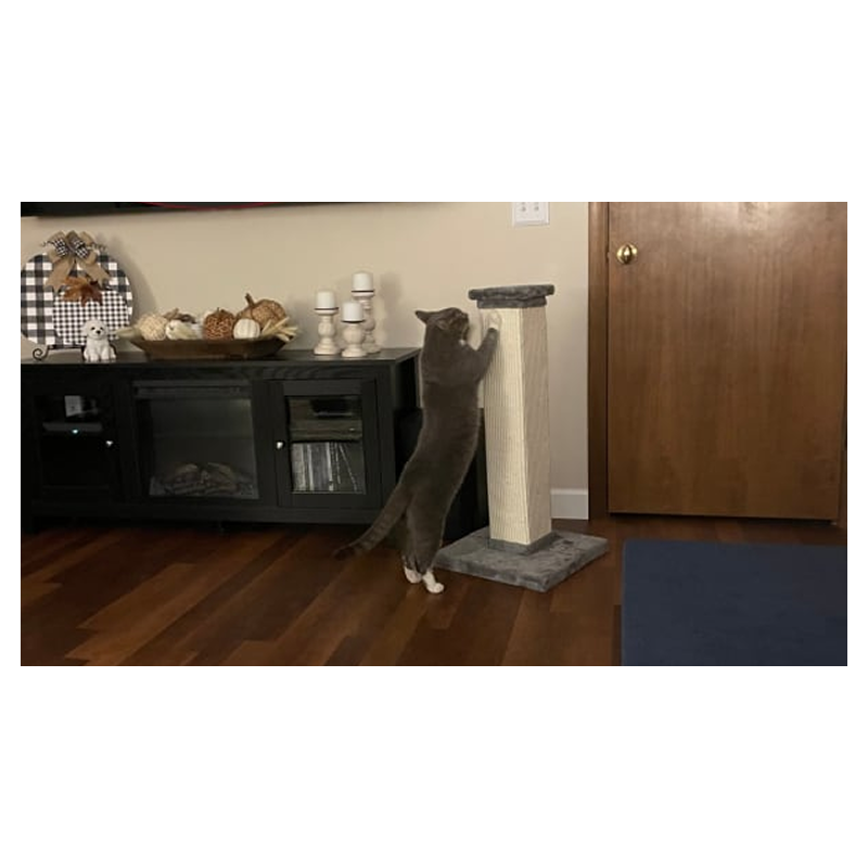 How Luxury Vinyl Plank (LVP) Flooring is Revolutionizing Pet-Friendly Living Spaces