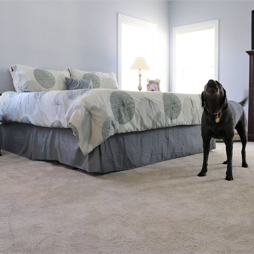 Carpet flooring in Lancaster, PA from Nolt's Floor Covering, Inc.